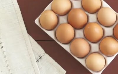 It’s basic stuff, but everybody needs a good refresher on the #almightyegg every once in…