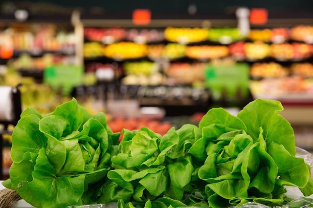 Locally grown Louisiana live lettuce is your solution to the great romaine crisis of 2018….